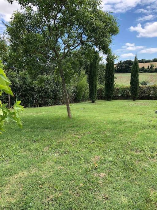 Suite Independante Au Coeur D'Un Jardin Arbore. Montaut  Exteriör bild